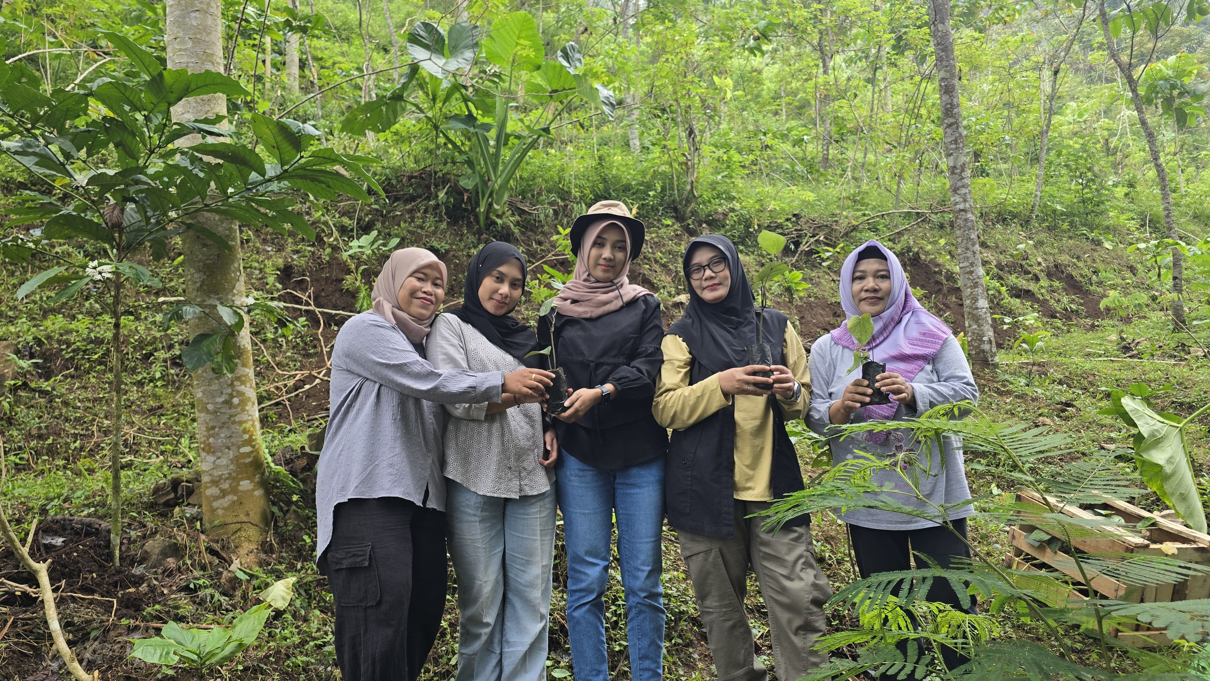 Penanaman Bibit Kemukus 29 Agustus 2025