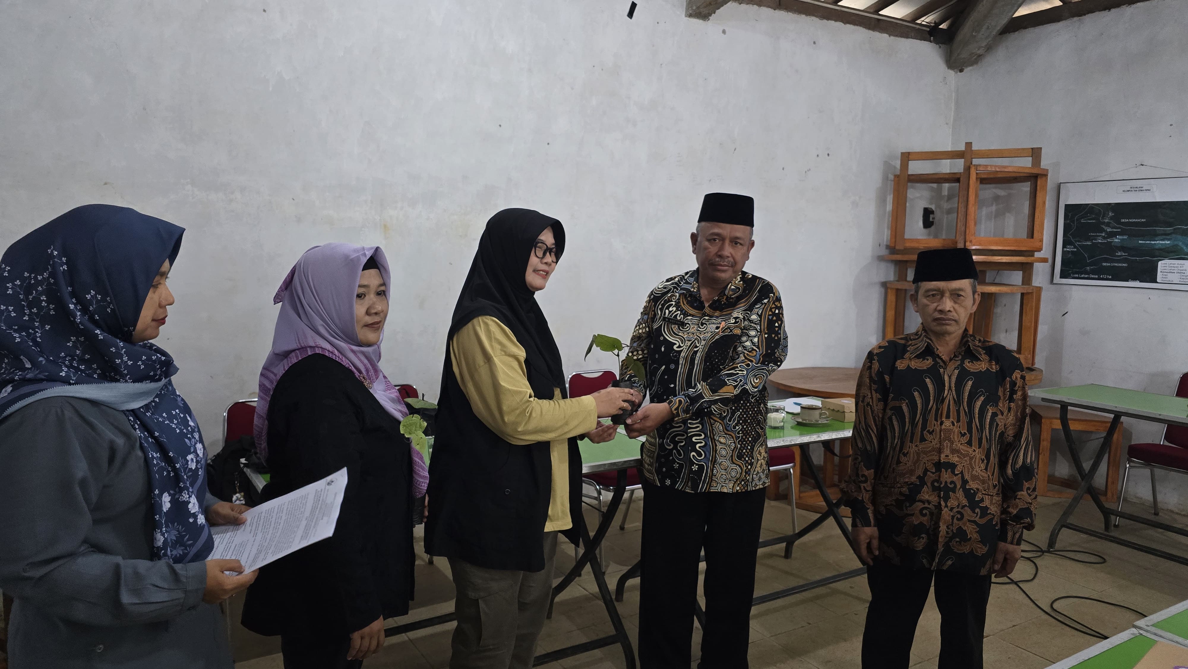 Penanaman Bibit Kemukus